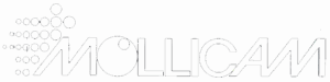 Mollicam Inc.  5-Axis CNC Machining of Patterns, Molds and Prototypes