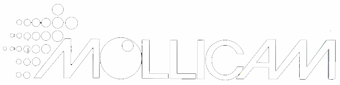 Mollicam Inc. 5-Axis CNC Machining of Patterns, Molds and Prototypes
